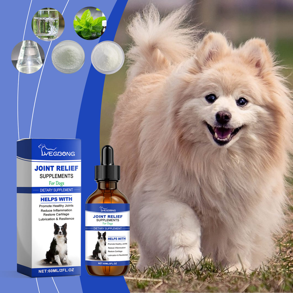 🐾 <strong>Happy Joints, Happy Paws</strong>